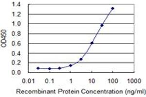 Detection limit for recombinant GST tagged TNFSF13B is 0. (BAFF antibody  (AA 118-222))