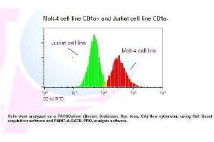 Image no. 1 for anti-CD1a (CD1a) antibody (FITC) (ABIN1112081) (CD1a antibody  (FITC))