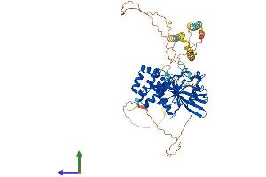 AlphaFold protein structure predicition of Human Recombinant PTPN5 Protein, UniprotID P54829 (PTPN5 Protein (AA 1-565) (His tag))