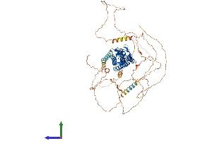 AlphaFold protein structure predicition of Human Recombinant PLPPR4 Protein, UniprotID Q7Z2D5 (LPPR4 Protein (AA 1-763) (His tag))