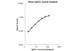 IgG2a ELISA Kit