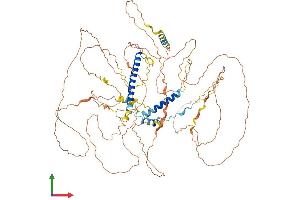 AlphaFold protein structure predicition of Mouse Recombinant Fam149a Protein, UniprotID Q8CFV2 (FAM149A Protein (AA 1-787) (His tag))