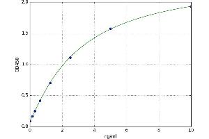 A typical standard curve (MAGEC1 ELISA Kit)