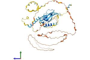 Protein Structure (PS) image for Splicing Factor 3a, Subunit 2, 66kDa (SF3A2) (AA 1-475) protein (His tag) (ABIN7557768)