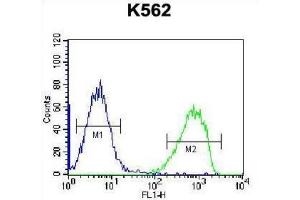 Flow Cytometry (FACS) image for anti-Serine Peptidase Inhibitor, Kazal Type 8 (SPINK8) antibody (ABIN2996842) (SPINK8 antibody)