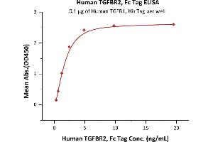 Immobilized Human TGFB1, His Tag (ABIN4949126,ABIN4949127) at 1 μg/mL (100 μL/well) can bind Human TGFBR2, Fc Tag (ABIN2181812,ABIN2181811) with a linear range of 0. (TGFBR2 Protein (AA 23-159) (Fc Tag))