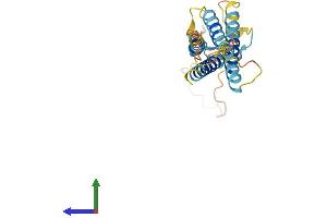 AlphaFold protein structure predicition of Human Recombinant TMEM204 Protein, UniprotID Q9BSN7 (TMEM204 Protein (AA 1-226) (His tag))