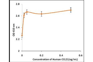 Activity Assay (AcA) image for Chemokine (C-C Motif) Ligand 21 (CCL21) (Active) protein (ABIN5509305) (CCL21 Protein)