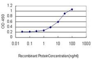 Detection limit for recombinant GST tagged JMJD1C is approximately 0. (JMJD1C antibody  (AA 2-99))