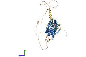 AlphaFold protein structure predicition of Human Recombinant SLCO5A1 Protein, UniprotID Q9H2Y9