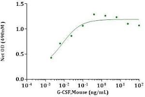 G-CSF, Mouse stimulates cell proliferation of M-NFS-60 cells.