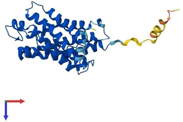 AQP3 Protein (AA 1-292) (His tag)
