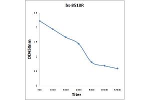 Antigen: 2 µg/100 µL  Primary: Antiserum, 1:500, 1:1000, 1:2000, 1:4000, 1:8000, 1:16000, 1:32000;  Secondary: HRP conjugated Rabbit Anti-Goat IgG at 1: 5000;  TMB staining Read the data in Microplate Reader by 450nm. (BARX1 antibody  (AA 185-254))