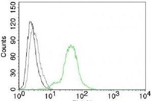 Flow cytometric analysis of BT-474 cell line. (ESR2 antibody  (C-Term))