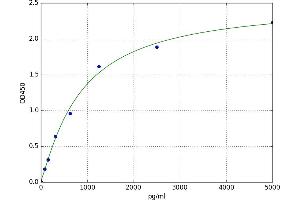 Suppressor of Cytokine Signaling 2 (SOCS2) ELISA Kit