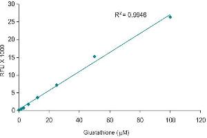 ELISA image for SensoLyte® ABD-F Thiol Quantitation Assay Kit (ABIN1882565) (SensoLyte® ABD-F Thiol Quantitation Assay Kit)