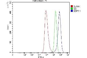 Flow Cytometry analysis of HEL cells using anti-Septin 11/SEPTIN11 antibody (ABIN7602925). (Septin 11 antibody  (C-Term))