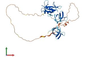 AlphaFold protein structure predicition of Human Recombinant GRAP2 Protein, UniprotID O75791 (GRAP2 Protein (AA 1-330) (His tag))