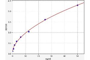 Typical standard curve (POMT1 ELISA Kit)