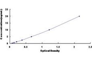 Typical standard curve (Fibromodulin ELISA Kit)