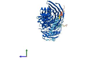 AlphaFold protein structure predicition of Human Recombinant IFT80 Protein, UniprotID Q9P2H3 (IFT80 Protein (AA 1-777) (His tag))