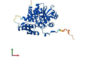 AlphaFold protein structure predicition of Human Recombinant SRR Protein, UniprotID Q9GZT4 (SRR Protein (AA 1-340) (His tag))