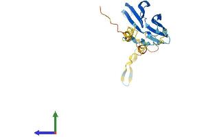 AlphaFold protein structure predicition of Human Recombinant HSPB2 Protein, UniprotID Q16082 (HSPB2 Protein (AA 1-182) (His tag))
