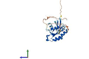 AlphaFold protein structure predicition of Human Recombinant RAB6C Protein, UniprotID Q9H0N0 (WTH3DI Protein (AA 1-254) (His tag))