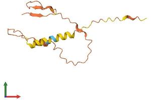 AlphaFold protein structure predicition of Human Recombinant DSCR4 Protein, UniprotID P56555 (DSCR4 Protein (AA 1-118) (His tag))