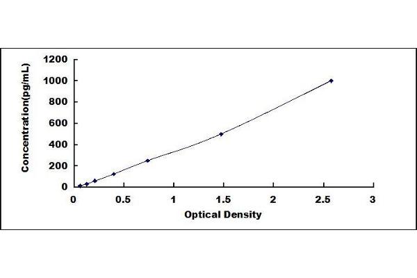 FGF8 ELISA Kit