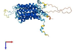 AlphaFold protein structure predicition of Human Recombinant SLC37A2 Protein, UniprotID Q8TED4 (SLC37A2 Protein (AA 1-501) (His tag))