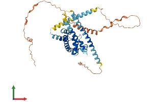 AlphaFold protein structure predicition of Mouse Recombinant Tmem64 Protein, UniprotID Q3U145 (TMEM64 Protein (AA 1-381) (His tag))