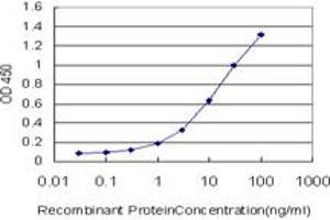 Detection limit for recombinant GST tagged SPATA2 is approximately 0. (SPATA2 antibody  (AA 422-519))