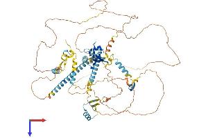 PDZ Domain Containing 4 (PDZD4) (AA 1-769) protein (His tag)