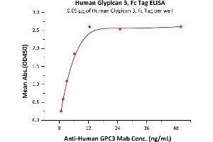 Immobilized Human Glypican 3, Fc Tag, low endotoxin (ABIN4949101,ABIN4949102) at 0. (Glypican 3 Protein (GPC3) (AA 25-559) (Fc Tag))