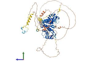 Protein Structure (PS) image for erythrocyte Membrane Protein Band 4.1 Like 4A (EPB41L4A) (AA 1-686) protein (His tag) (ABIN7547303)