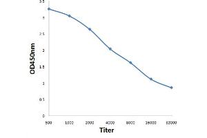 ASB3 antibody  (AA 21-120)