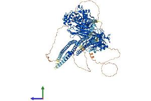Protein Structure (PS) image for phospholipase C, beta 1 (phosphoinositide-Specific) (PLCB1) (AA 1-1216) protein (His tag) (ABIN7554993)