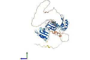AlphaFold protein structure predicition of Human Recombinant CELF5 Protein, UniprotID Q8N6W0 (CELF5 Protein (AA 1-485) (His tag))