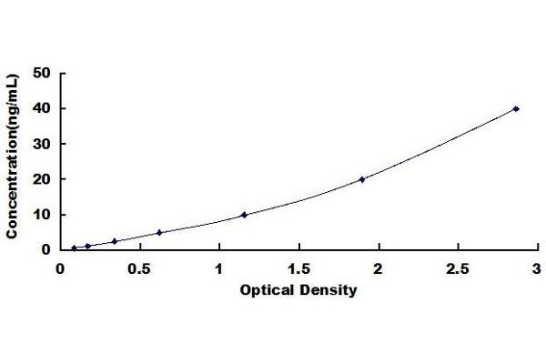 MFSD2A ELISA Kit