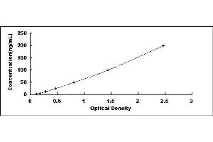 Typical standard curve (Acetyl-CoA Carboxylase alpha ELISA Kit)