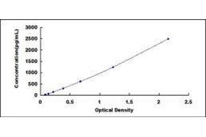 Eosinophil Cationic Protein (ECP) ELISA Kit