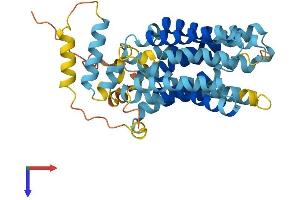 AlphaFold protein structure predicition of Mouse Recombinant Slc22a17 Protein, UniprotID Q9D9E0 (SLC22A17 Protein (AA 1-401) (His tag))