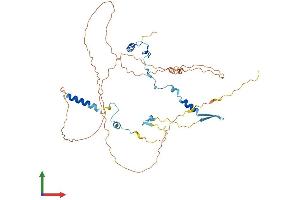 AlphaFold protein structure predicition of Human Recombinant GPATCH4 Protein, UniprotID Q5T3I0