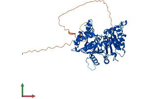 Protein Structure (PS) image for ACC Synthase-Like Protein 1 (ACCS) (AA 1-501) protein (His tag) (ABIN7551808)