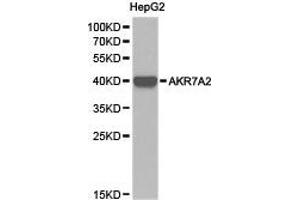 Western Blotting (WB) image for anti-Aflatoxin Beta1 Aldehyde Reductase (AKR7A2) antibody (ABIN1870908)