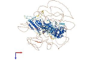 Family with Sequence Similarity 135, Member A (FAM135A) (AA 1-1515) protein (His tag)