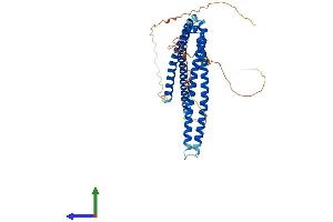 AlphaFold protein structure predicition of Human Recombinant SH3BP5L Protein, UniprotID Q7L8J4 (SH3BP5L Protein (AA 1-393) (His tag))