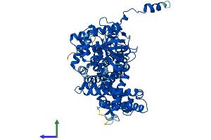 AlphaFold protein structure predicition of Human Recombinant ACOX2 Protein, UniprotID Q99424 (Acox2 Protein (AA 1-681) (His tag))