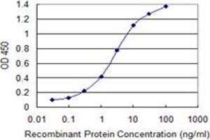Detection limit for recombinant GST tagged SUMO3 is 0. (SUMO3 antibody  (AA 1-103))
